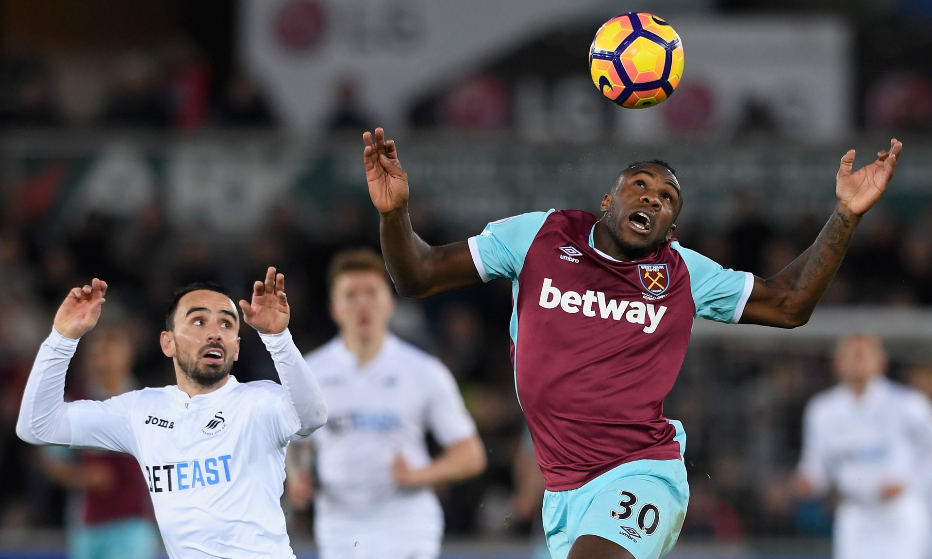 随着未来几 随着未来几