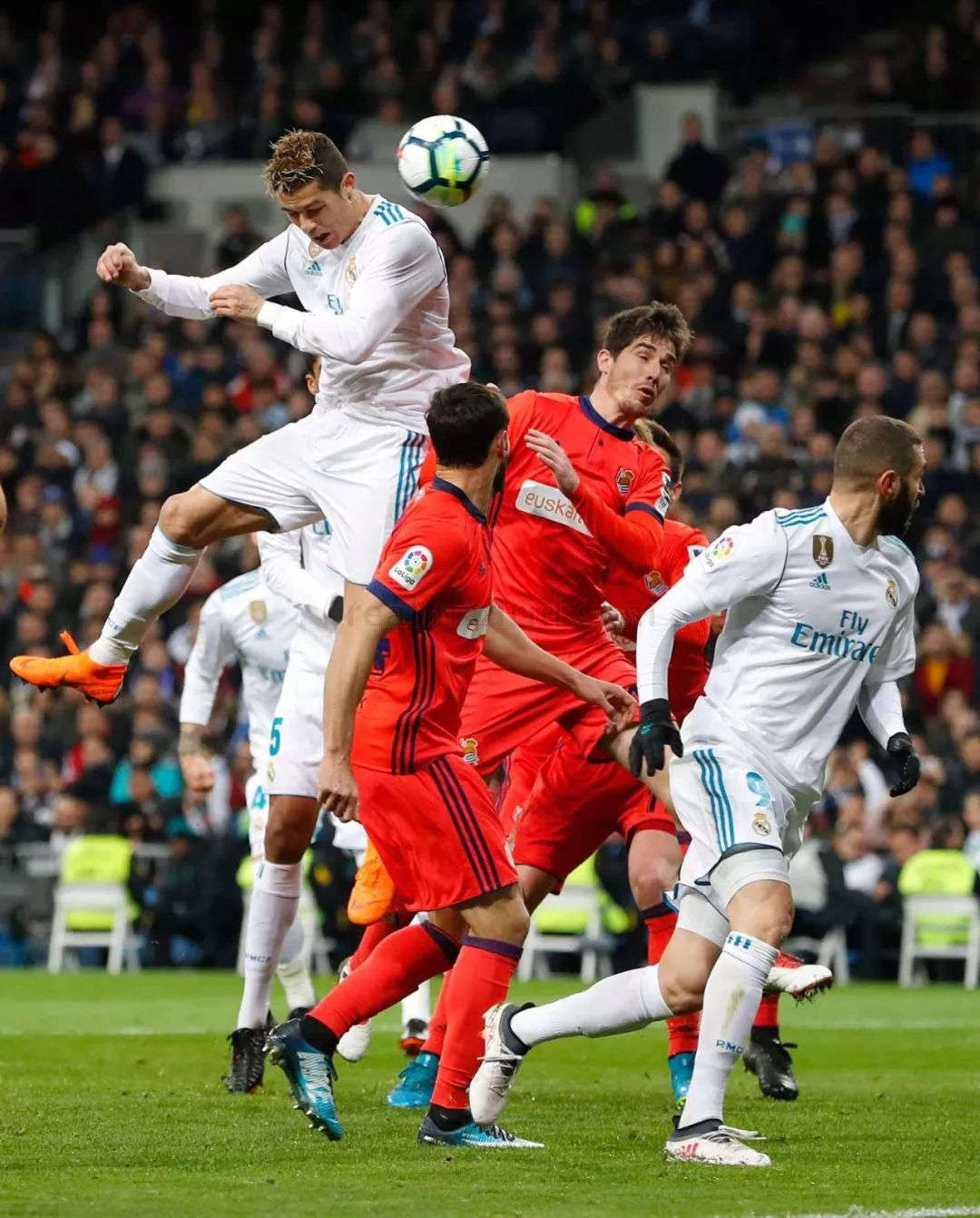 多种多样 多种多样