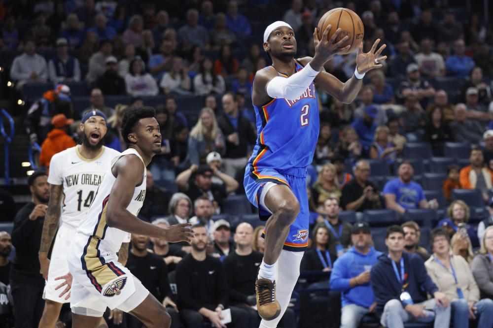 不仅展示了 不仅展示了